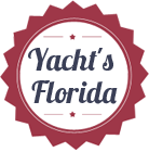 服务器攻击软件